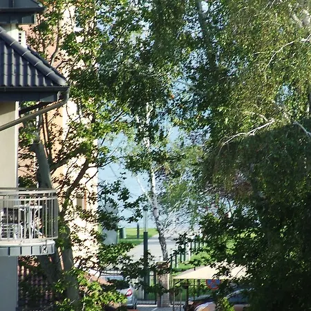 Aranymazsola Wellness Apartman *